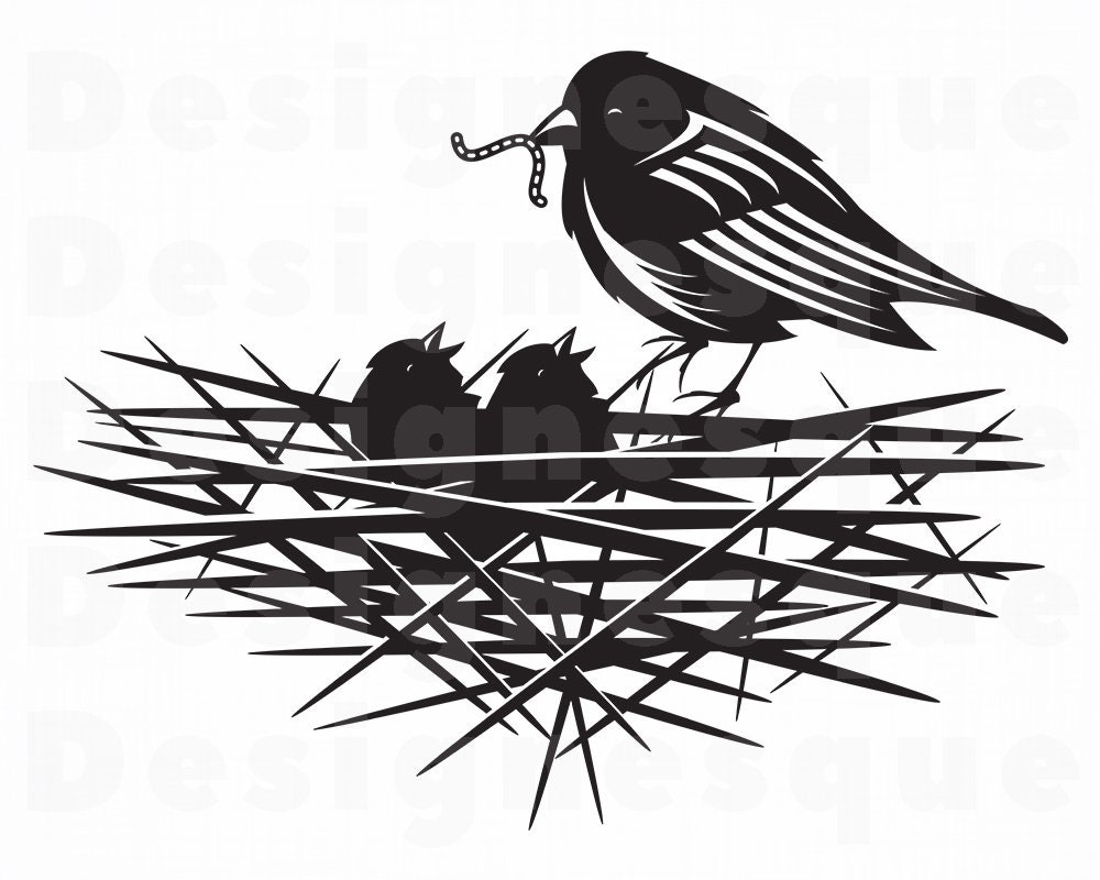 Detail Bird In A Nest Clipart Nomer 29