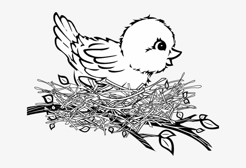 Detail Bird In A Nest Clipart Nomer 32