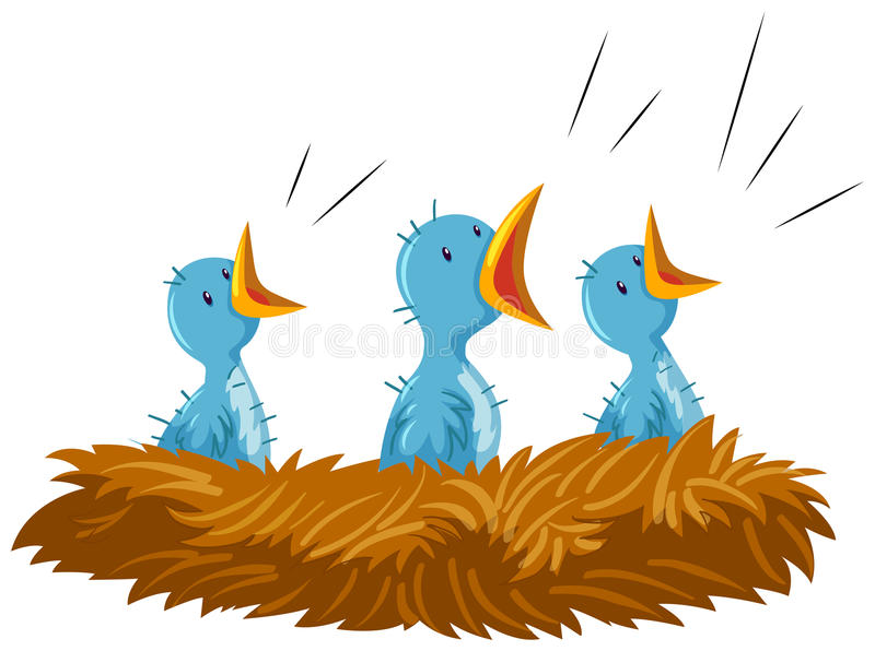 Detail Bird In A Nest Clipart Nomer 39