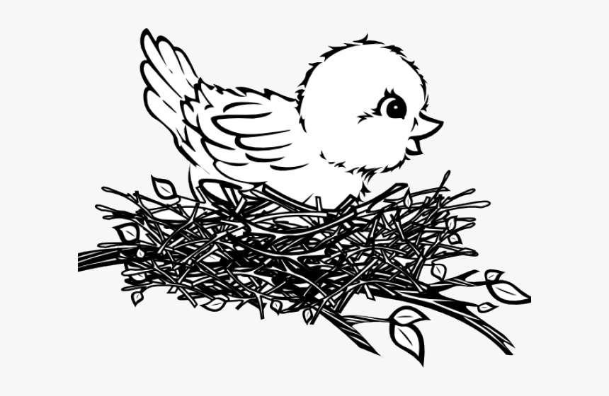 Detail Bird In A Nest Clipart Nomer 41