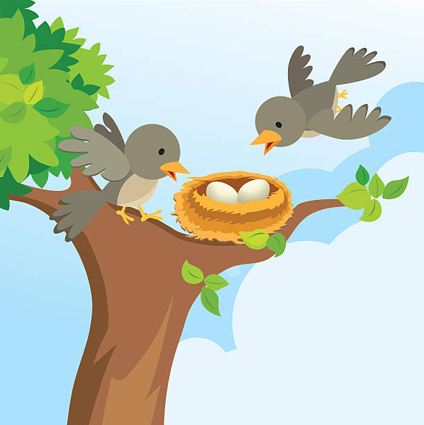 Detail Bird In A Nest Clipart Nomer 47