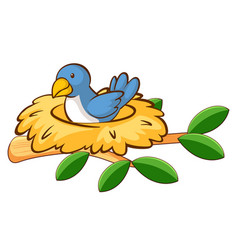 Detail Bird In A Nest Clipart Nomer 51