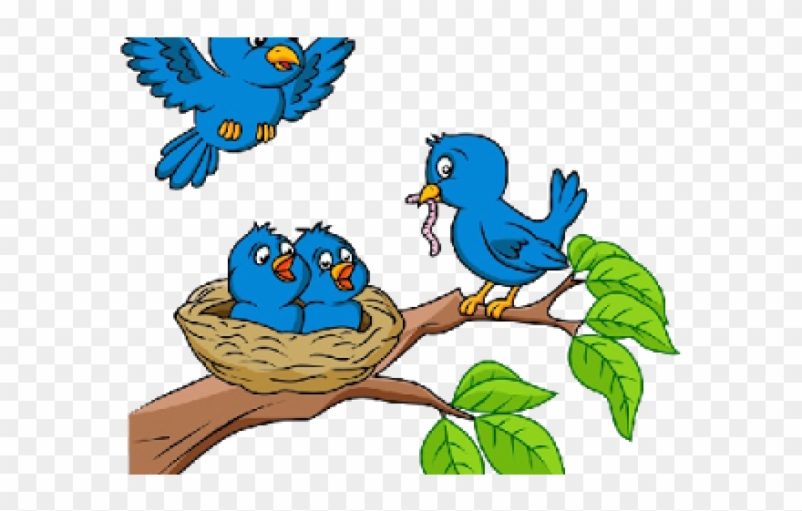 Detail Bird In A Nest Clipart Nomer 7