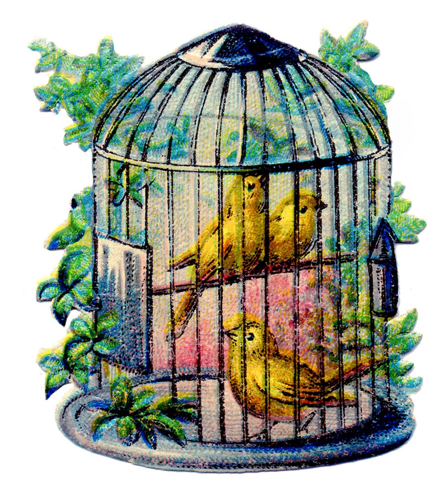 Detail Bird In Cage Clipart Nomer 11