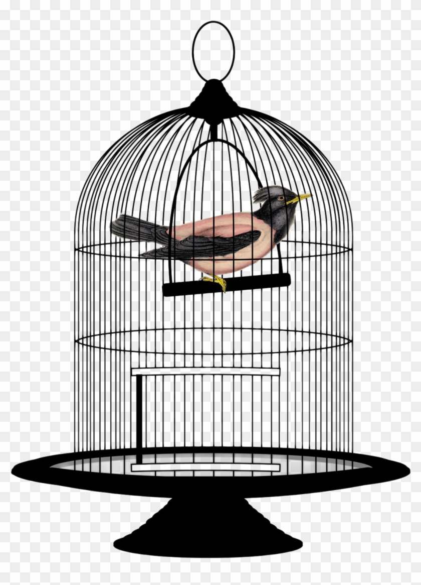 Detail Bird In Cage Clipart Nomer 14