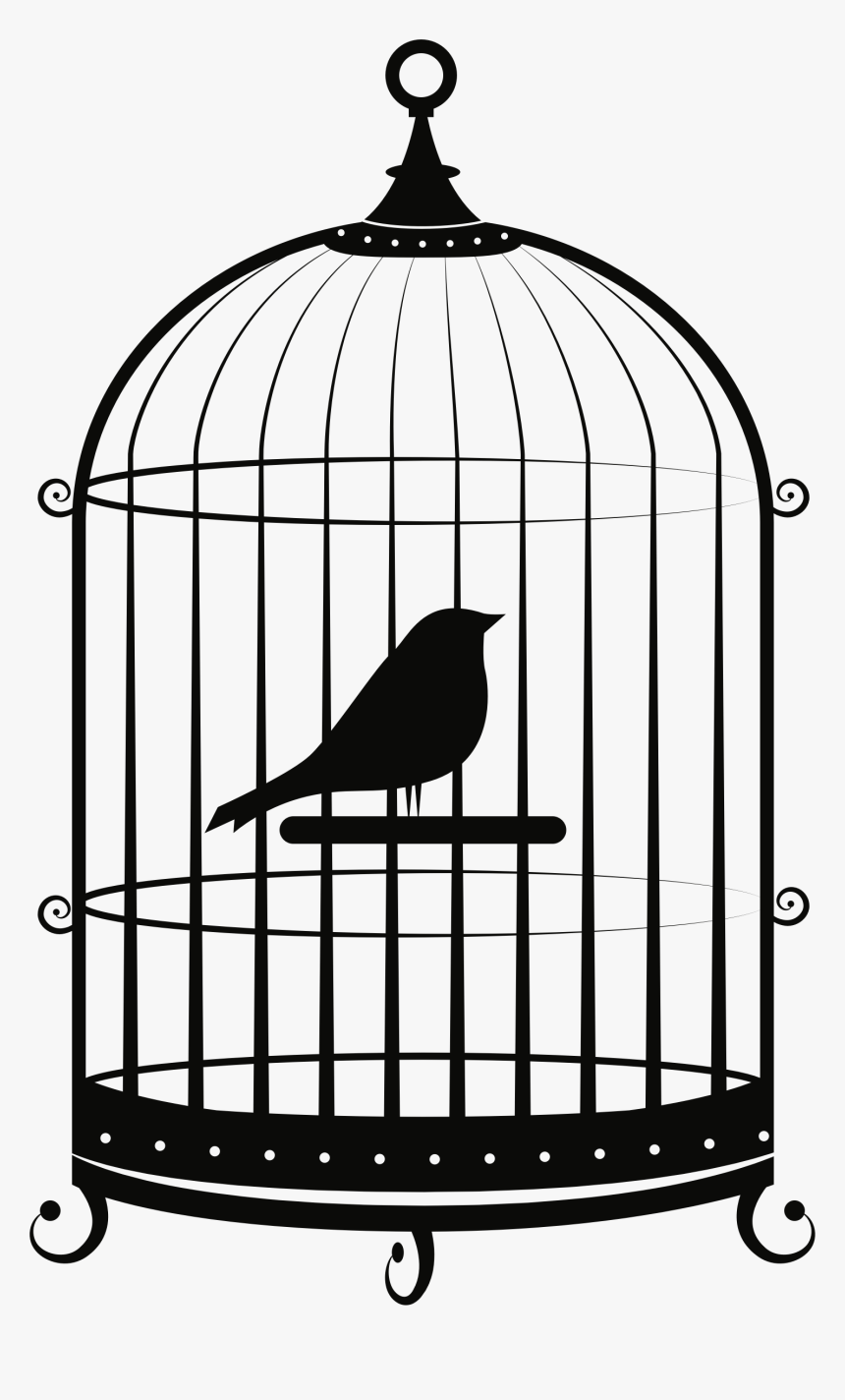 Detail Bird In Cage Clipart Nomer 5