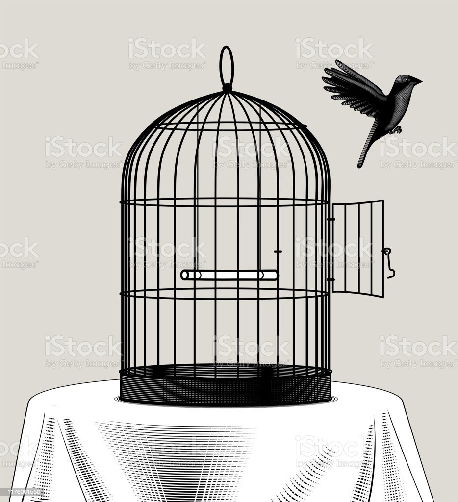 Detail Bird In Cage Images Nomer 2