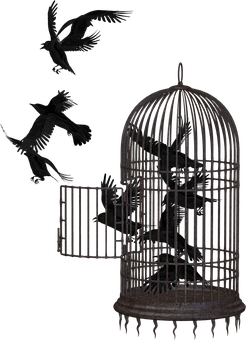 Detail Bird In Cage Images Nomer 12