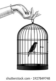 Detail Bird In Cage Images Nomer 13