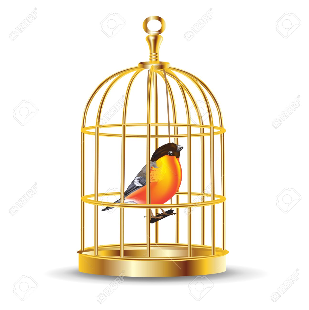 Detail Bird In Cage Images Nomer 15
