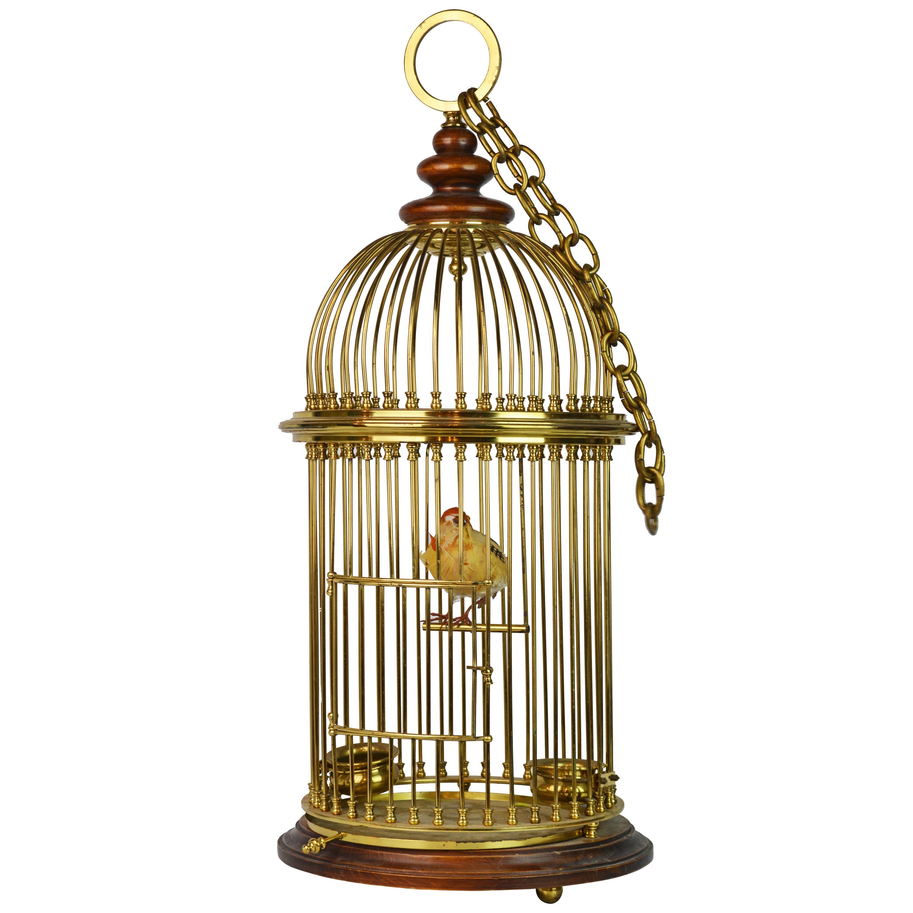 Detail Bird In Cage Images Nomer 16