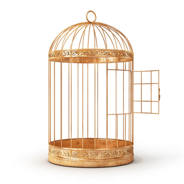 Detail Bird In Cage Images Nomer 3