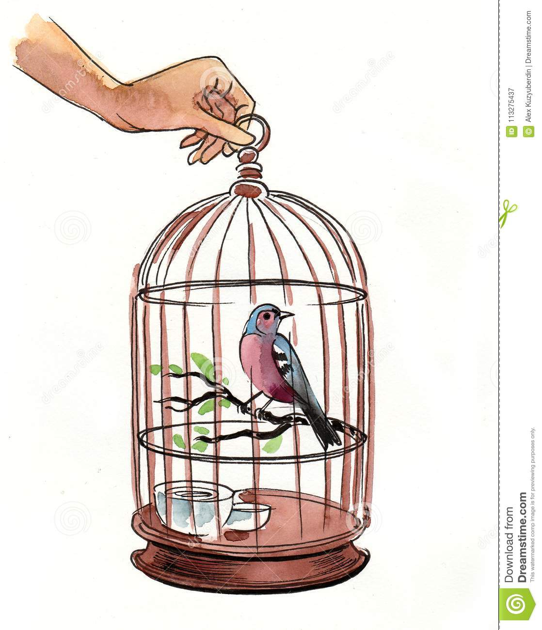 Detail Bird In Cage Images Nomer 22