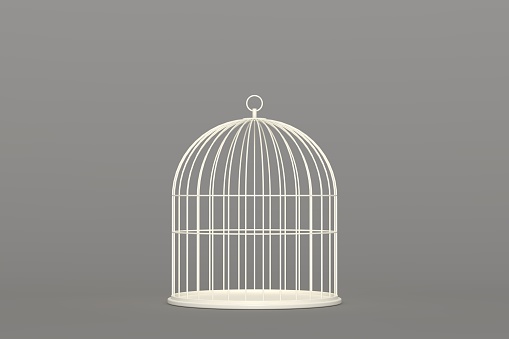 Detail Bird In Cage Images Nomer 28