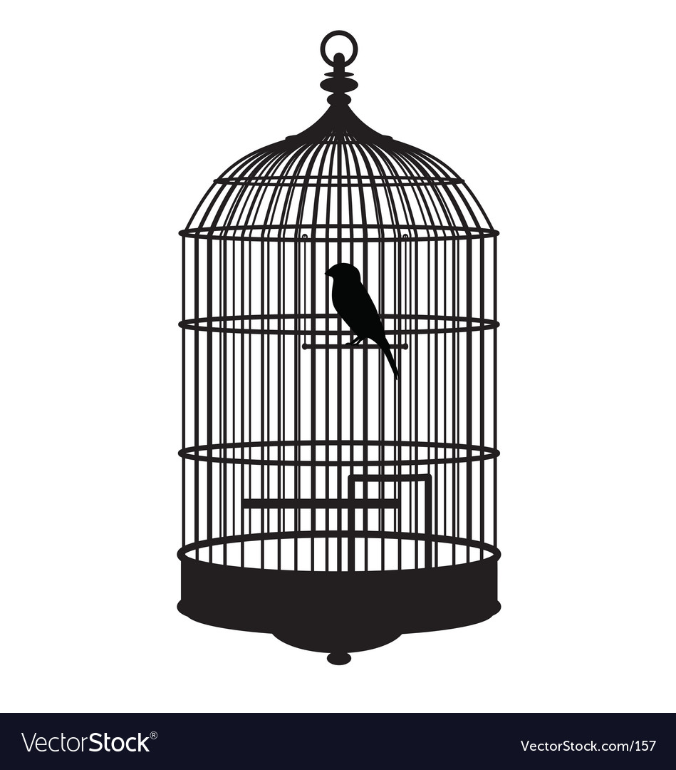 Detail Bird In Cage Images Nomer 5