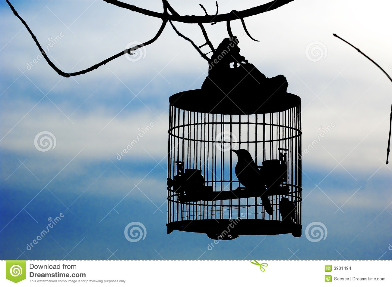 Detail Bird In Cage Images Nomer 47