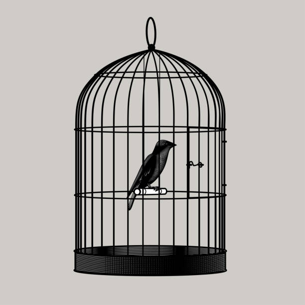 Detail Bird In Cage Images Nomer 6