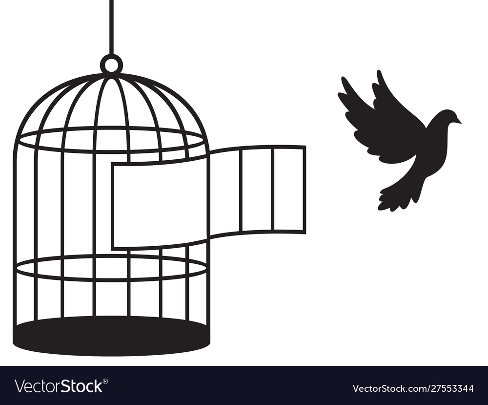 Detail Bird In Cage Images Nomer 57