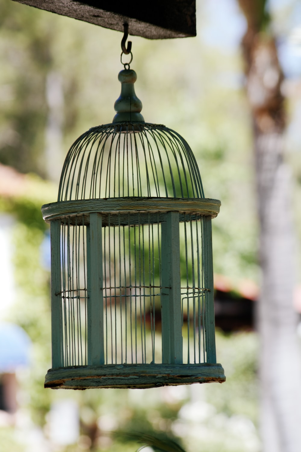Detail Bird In Cage Images Nomer 8