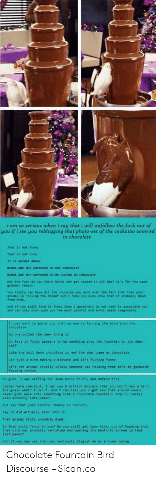 Detail Bird In Chocolate Fountain Meme Nomer 27