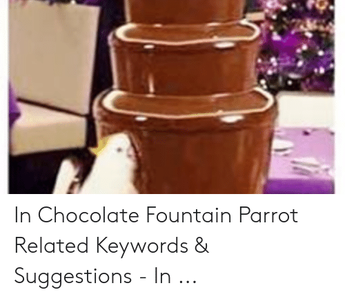 Detail Bird In Chocolate Fountain Meme Nomer 49