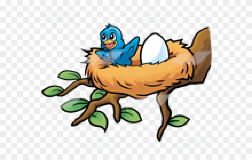 Detail Bird In Nest Clipart Nomer 19