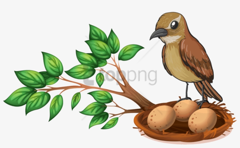 Detail Bird In Nest Clipart Nomer 23