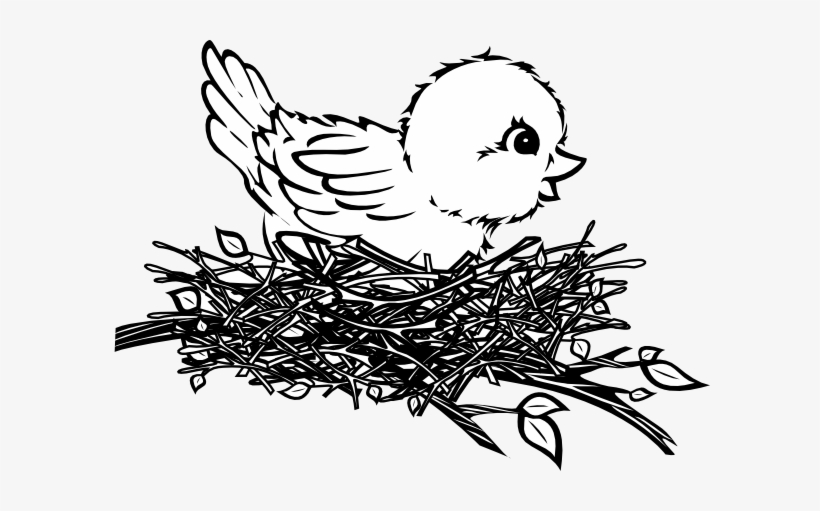 Detail Bird In Nest Clipart Nomer 56