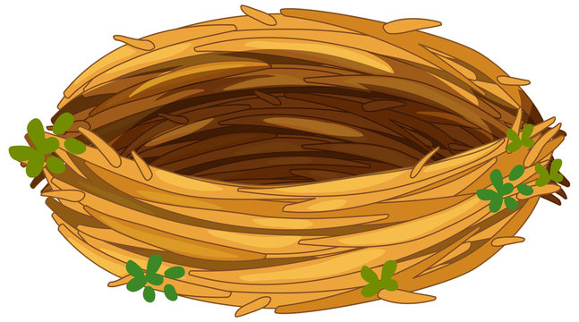 Detail Bird In Nest Clipart Nomer 10