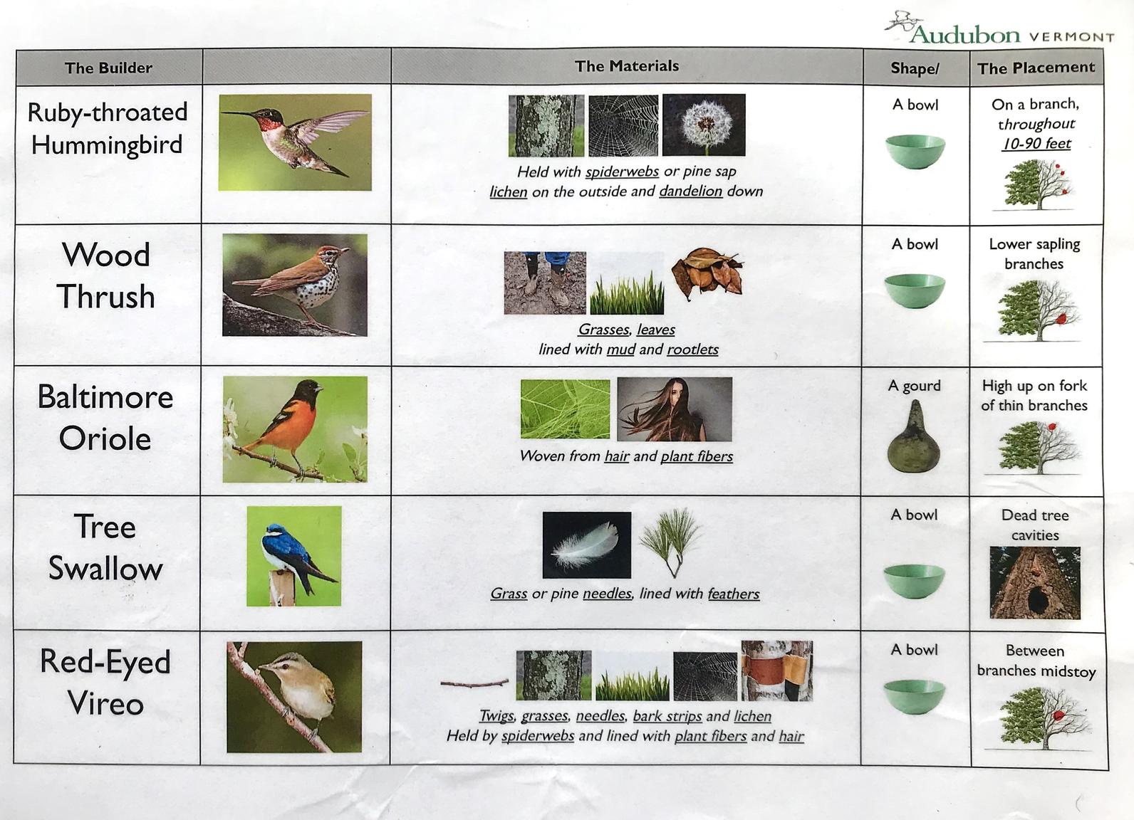 Detail Bird Nest Types Image Nomer 2