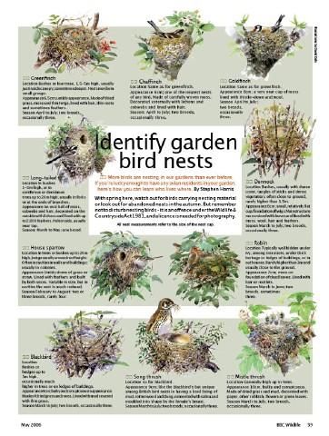 Detail Bird Nest Types Image Nomer 20