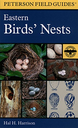 Detail Bird Nest Types Image Nomer 21