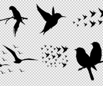 Detail Bird Photoshop Nomer 22