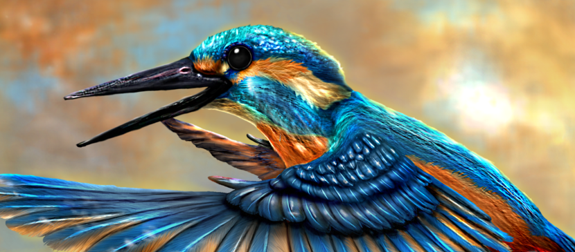 Detail Bird Photoshop Nomer 27