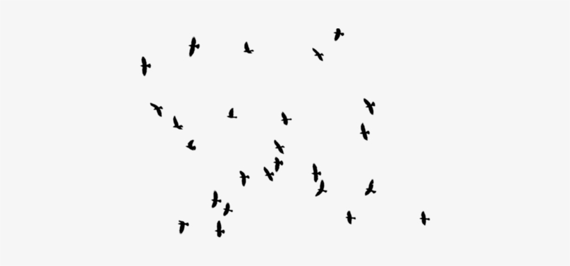 Detail Bird Photoshop Nomer 10