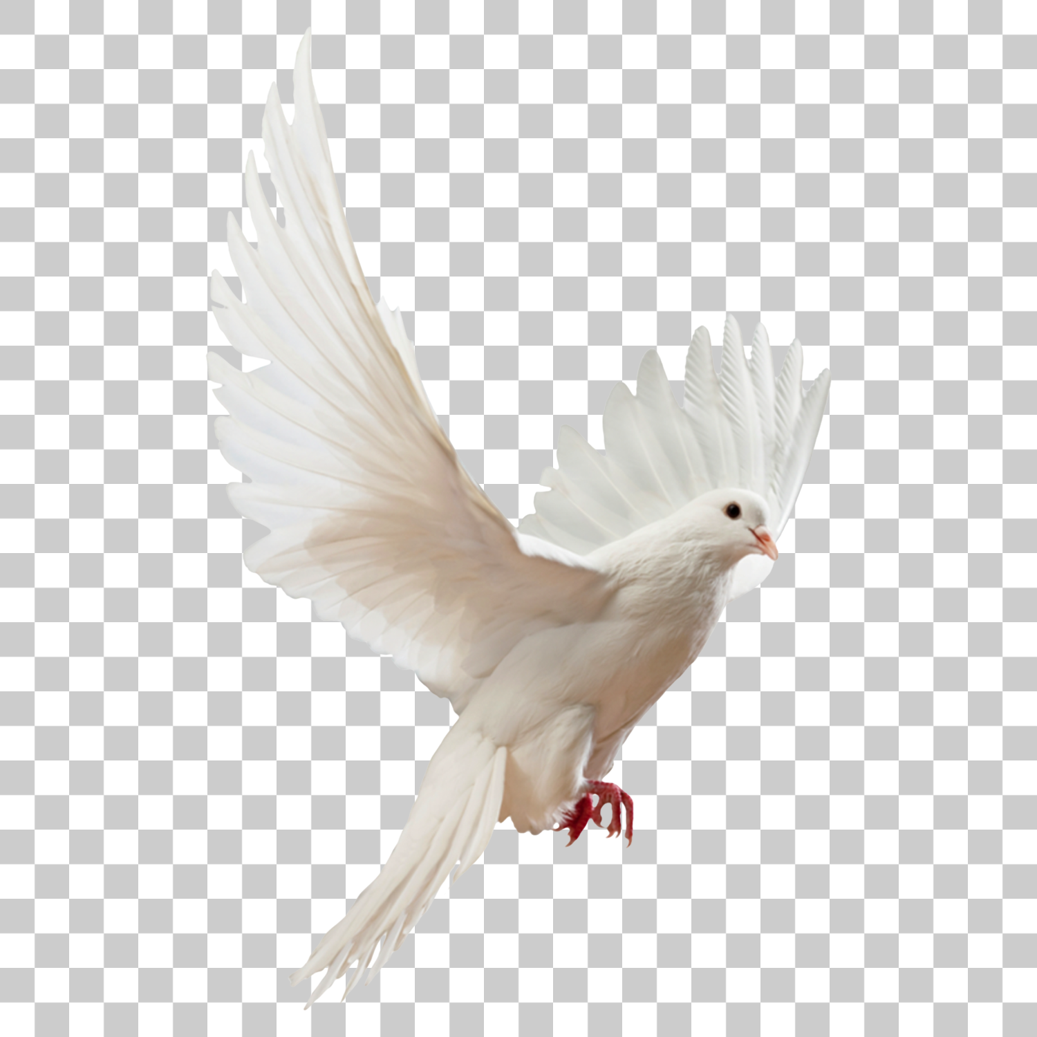 Detail Bird Png Image Nomer 2