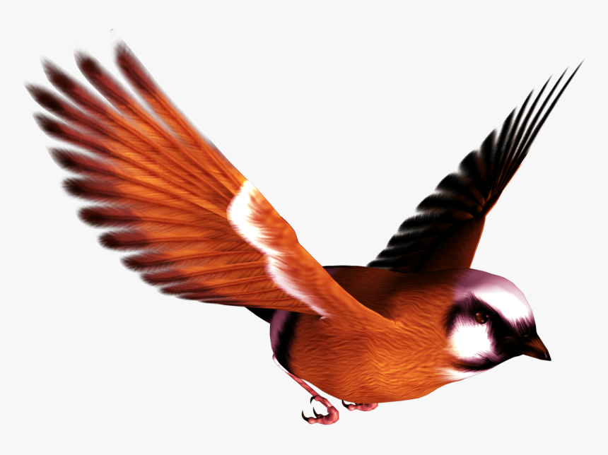 Detail Bird Png Image Nomer 20