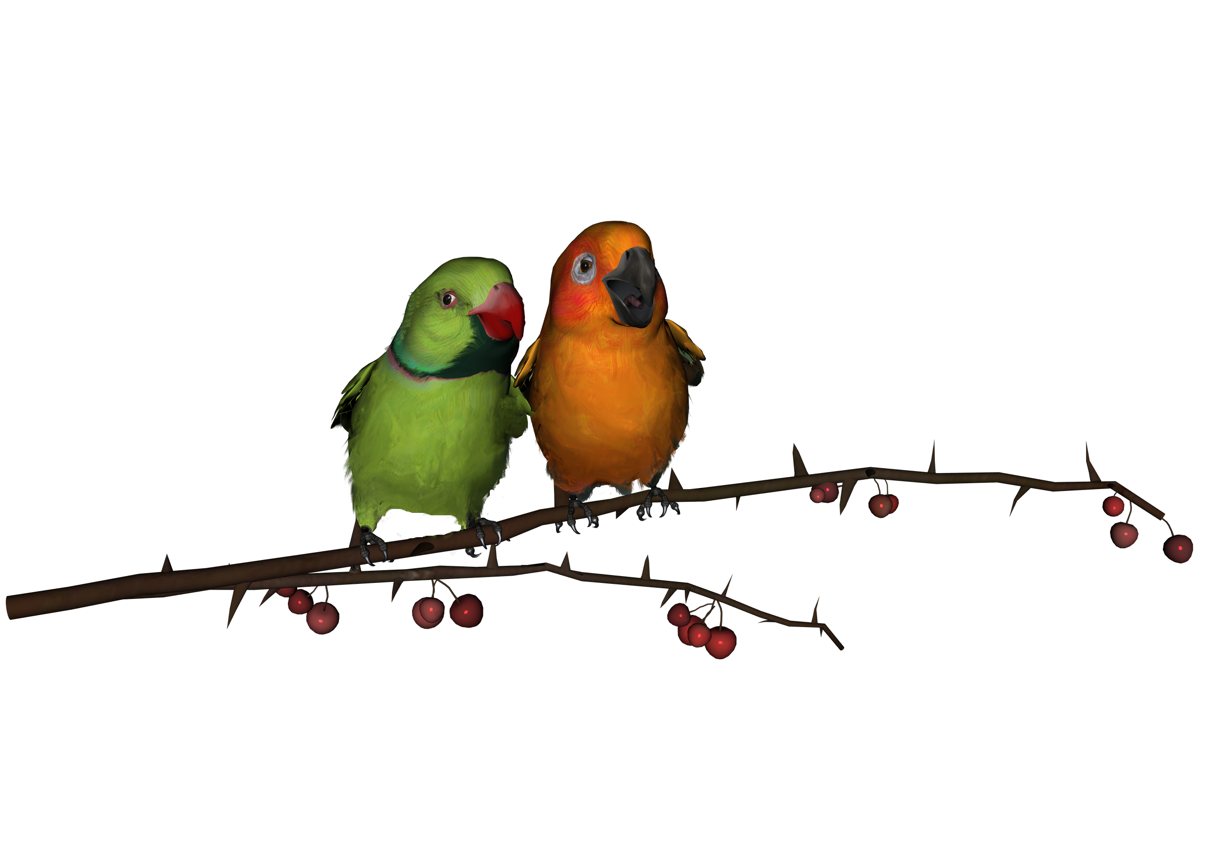 Detail Bird Png Image Nomer 33