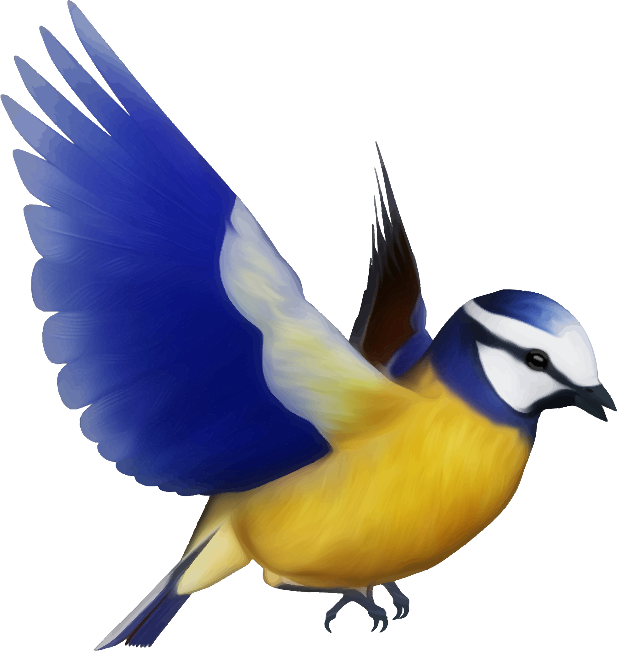 Detail Bird Png Image Nomer 40