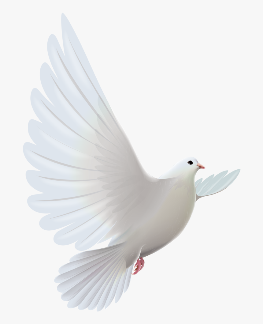 Detail Bird Png Image Nomer 43