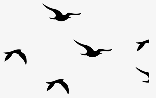 Detail Bird Png Image Nomer 51