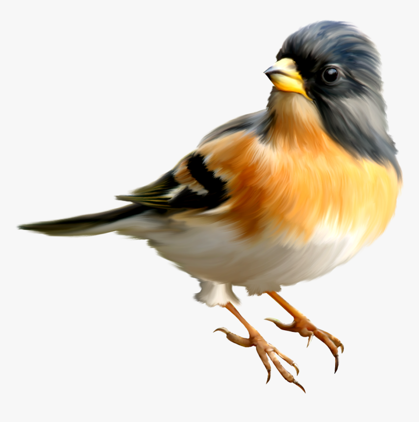 Detail Bird Png Transparent Nomer 30