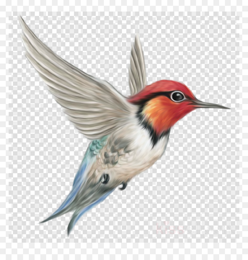 Detail Bird Png Transparent Nomer 56