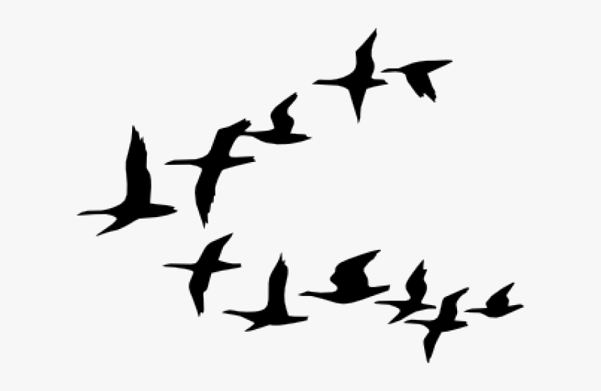 Detail Bird Png Vector Nomer 11