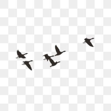Detail Bird Png Vector Nomer 18