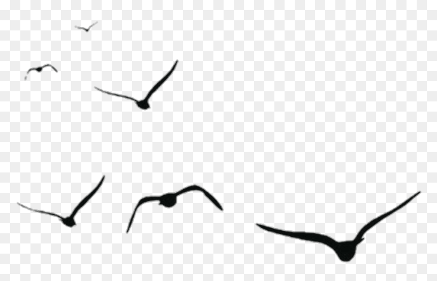 Detail Bird Png Vector Nomer 24