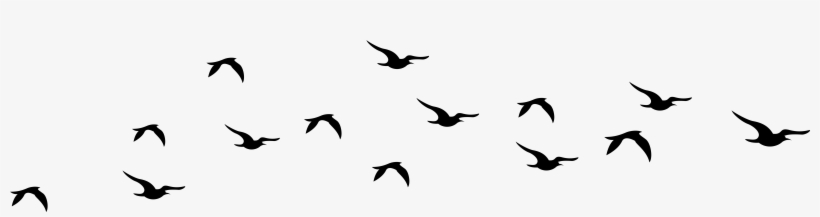 Detail Bird Png Vector Nomer 25