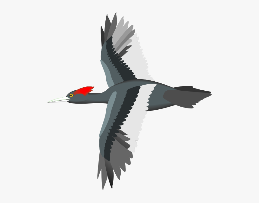 Detail Bird Png Vector Nomer 32