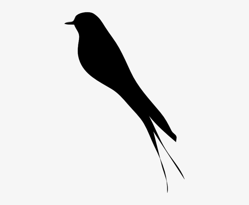 Detail Bird Png Vector Nomer 38