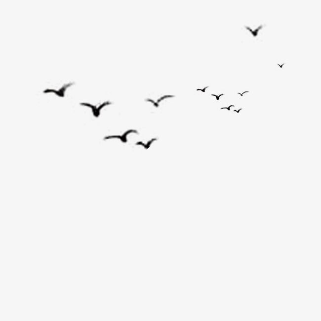 Detail Bird Png Vector Nomer 39